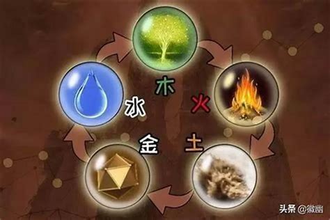 金木水火土 人|五行人格